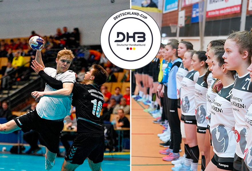 Allsvenskan Handball Lady.