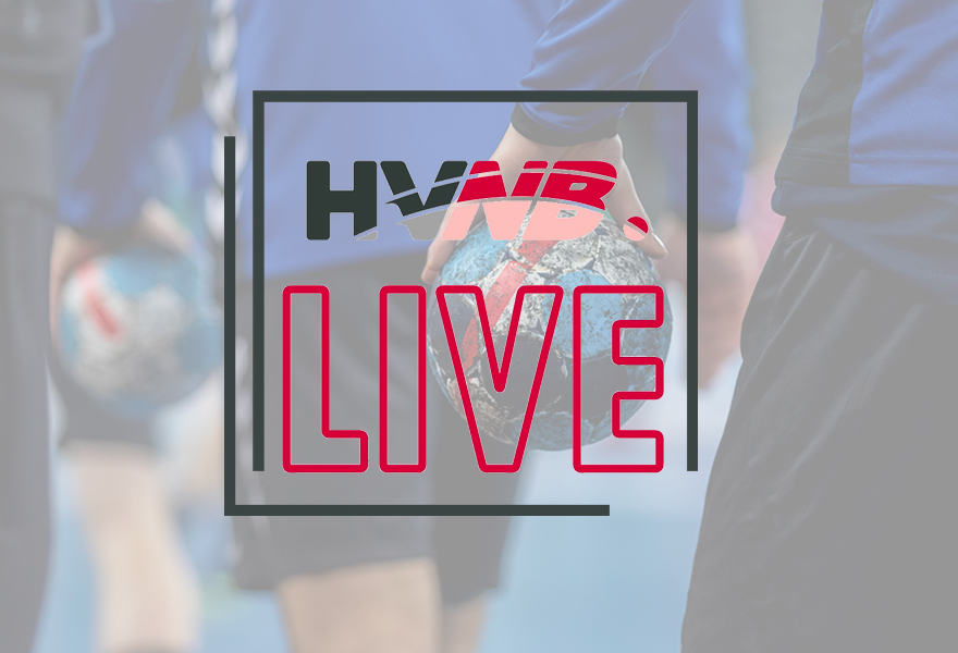 Allsvenskan Handball Herren.